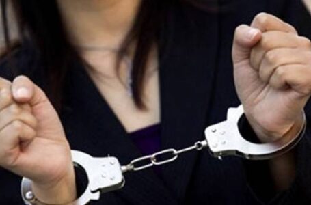 O femeie care a furat bunuri și un telefon mobil dintr-un centru comercial, reținută de polițiștii din Neamț