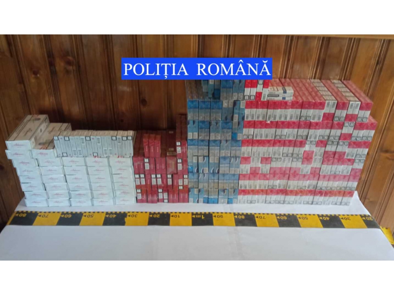 Aproape 1.600 pachete de ţigări de contrabandă, găsite la percheziţii în Piatra-Neamţ