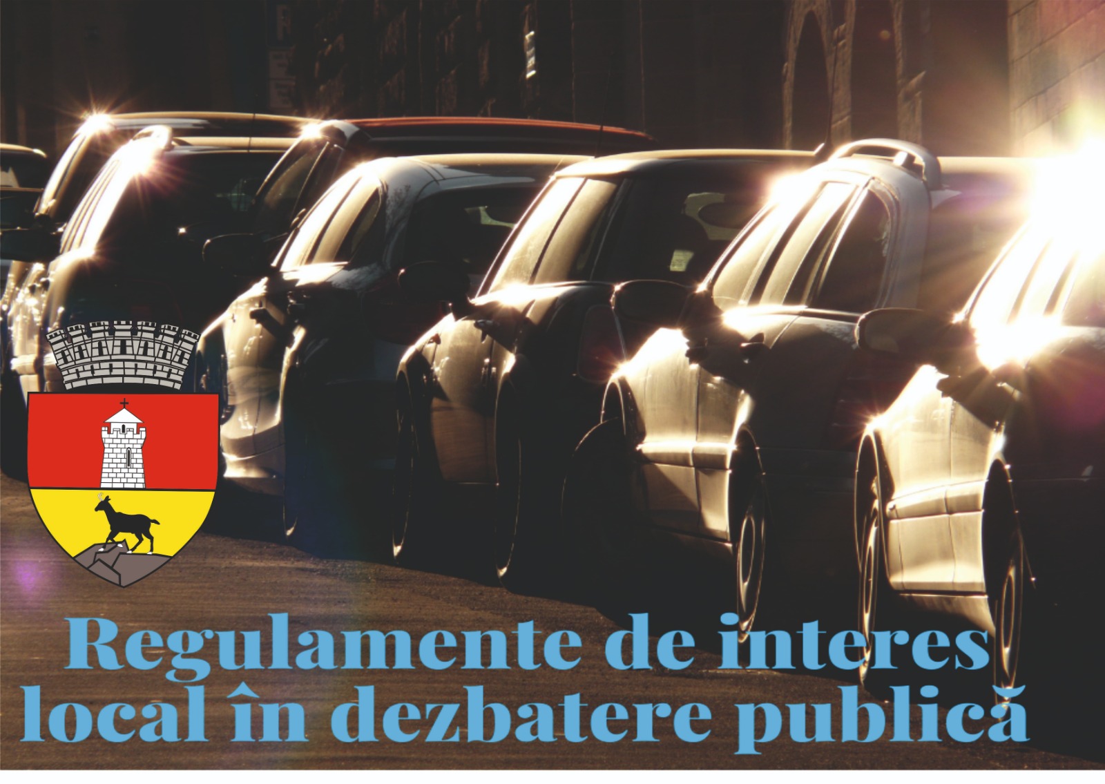 Primăria Piatra-Neamţ: Regulamente de interes local în dezbatere publică.