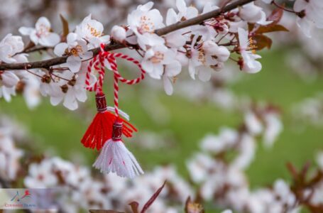Primarul Vasile Pavăl urează tuturor roznovenilor „O primăvară frumoasă alături de cei dragi!”