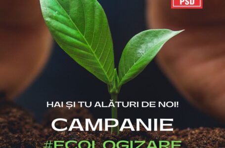 PSD Piatra-Neamţ a început o campanie de ecologizare a oraşului