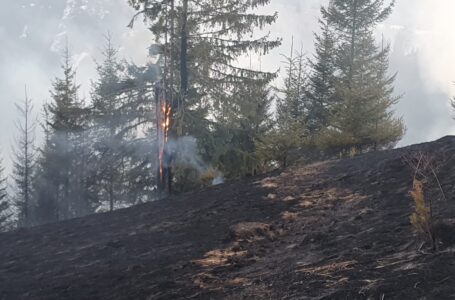 ISU Neamţ: un mort, trei răniţi şi 850 hectare afectate în urma incendiilor provocate!