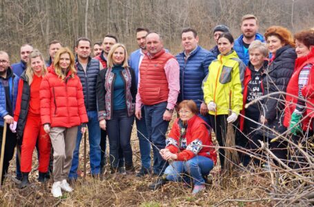Acţiune de împădurire realizată de organizaţia PSD Neamţ (foto-galerie)