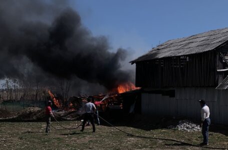 FOTO-GALERIE Gospodărie distrusă de un incendiu la Borleşti, din cauza unei ţigări