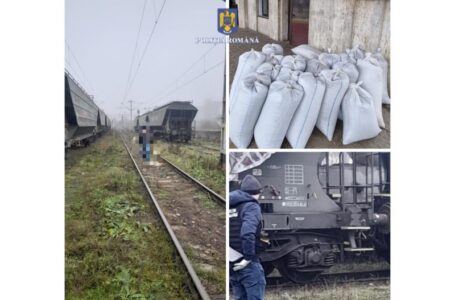 Trei nemţeni au furat dintr-un tren 2 tone de grâu şi 750 kg. seminţe floarea soarelui