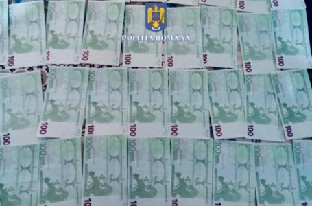 Descinderi la Târgu-Neamţ! Peste 10.000 euro falşi găsiţi de poliţişti!