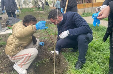 Piatra Curată: acțiune de plantare în cartierul Speranța