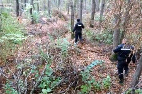 Bărbat ucis de un copac doborât într-o exploataţie forestieră din Tarcău