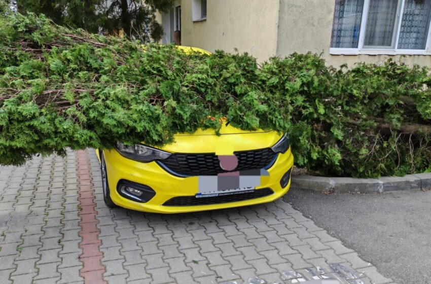 Cod de vânt puternic în Neamț: Intervenții masive ale pompierilor