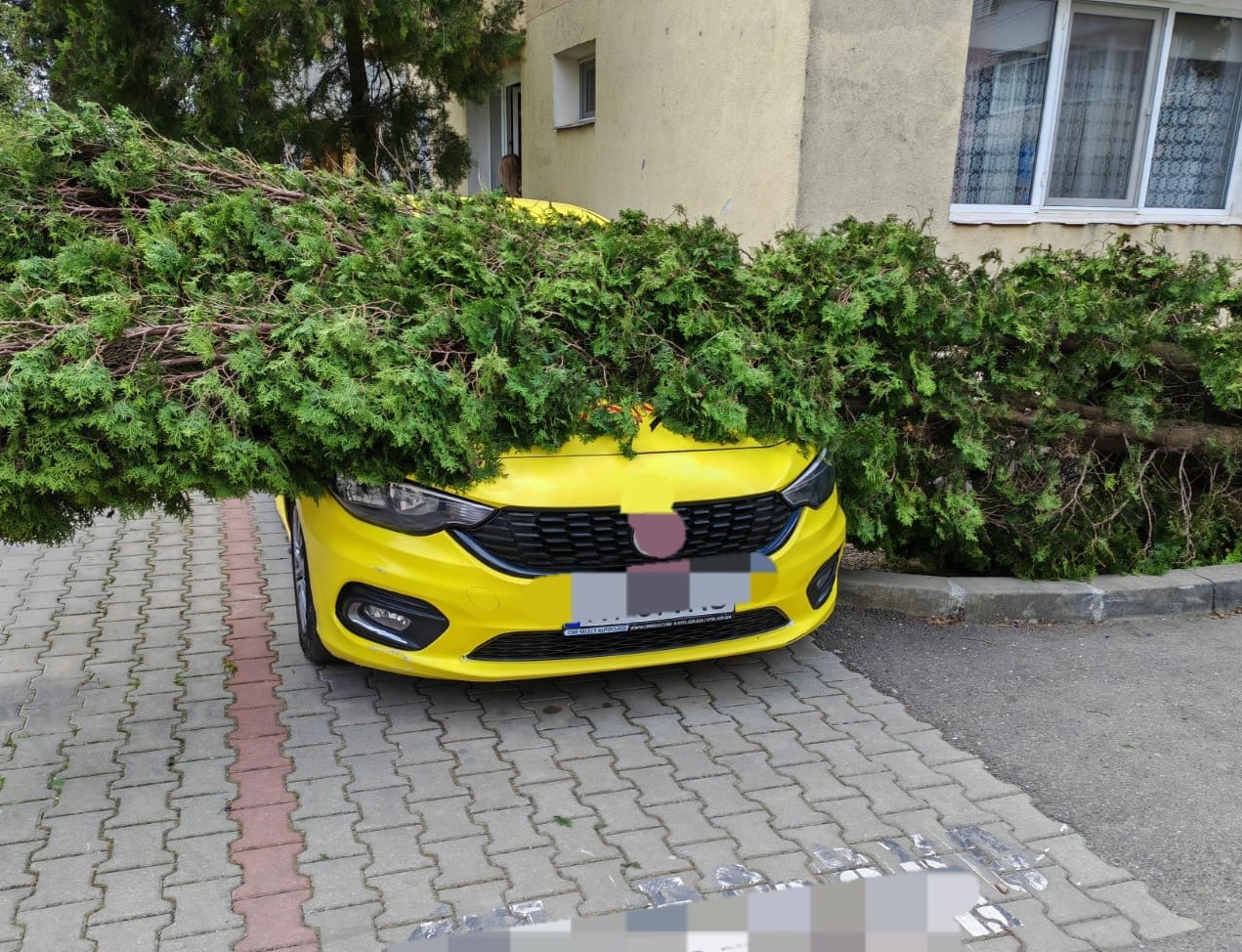 Cod de vânt puternic în Neamț: Intervenții masive ale pompierilor