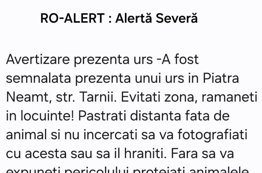 RO-ALERT Urs în Piatra-Neamţ
