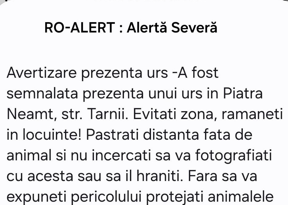RO-ALERT Urs în Piatra-Neamţ