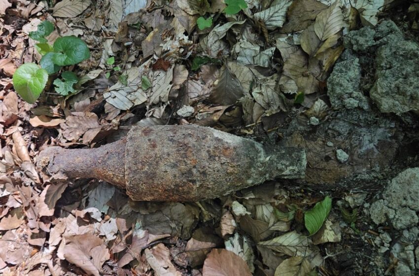 bombă