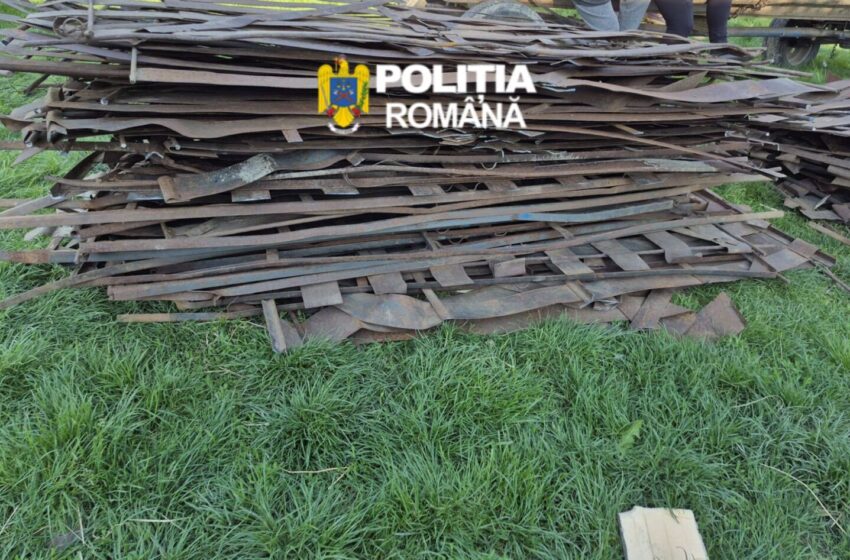 parazăpezi furate