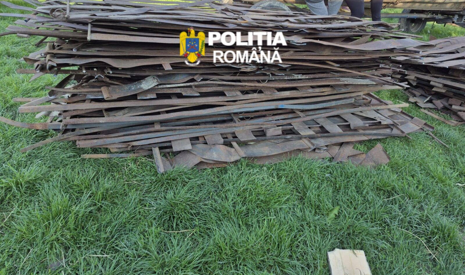 Zeci de parazăpezi furate de lângă Târgu-Neamţ