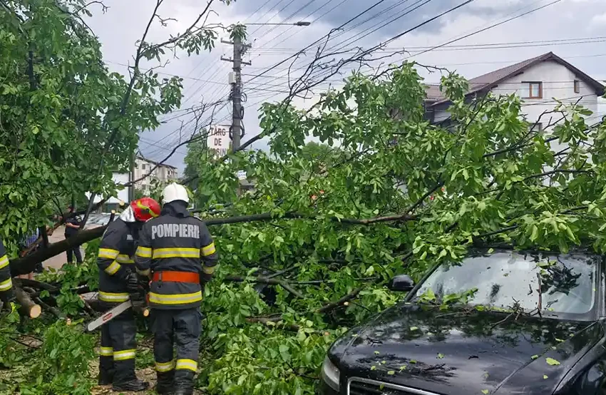 accident copaci peste masini ISU Neamt