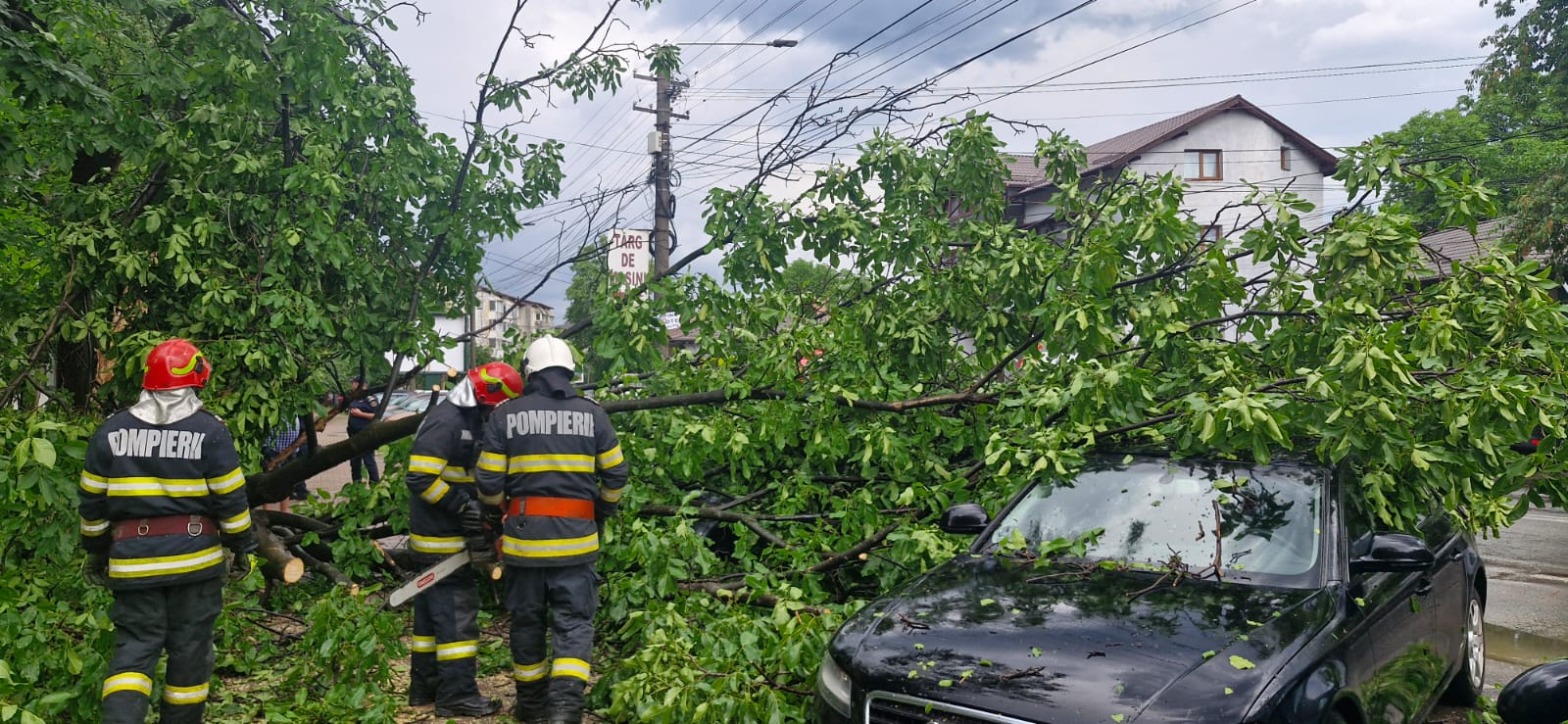 Furtună în Piatra-Neamț: arbori căzuți peste mașini şi pe carosabil