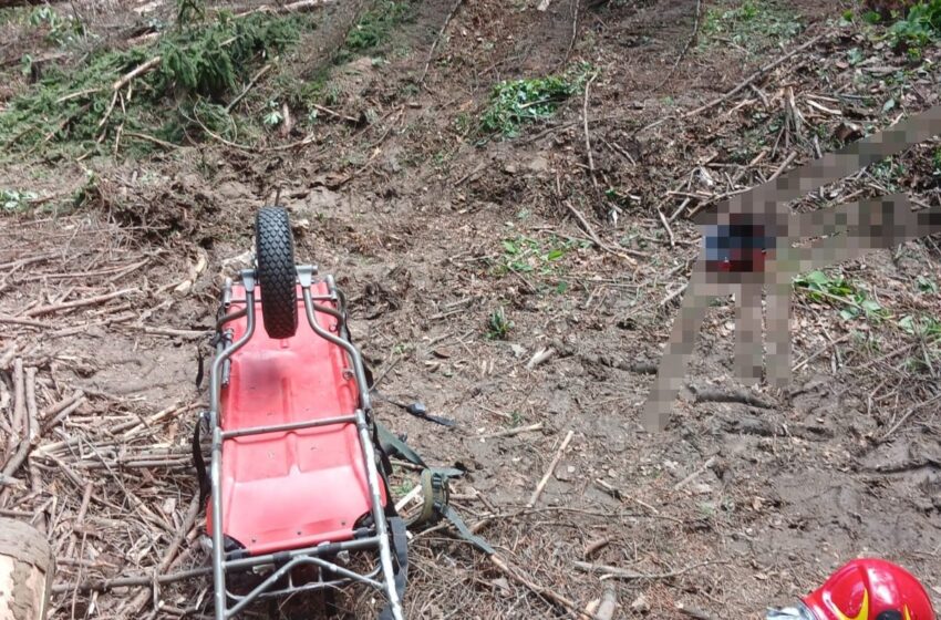 bărbat mort în pădure la Crăcăoani