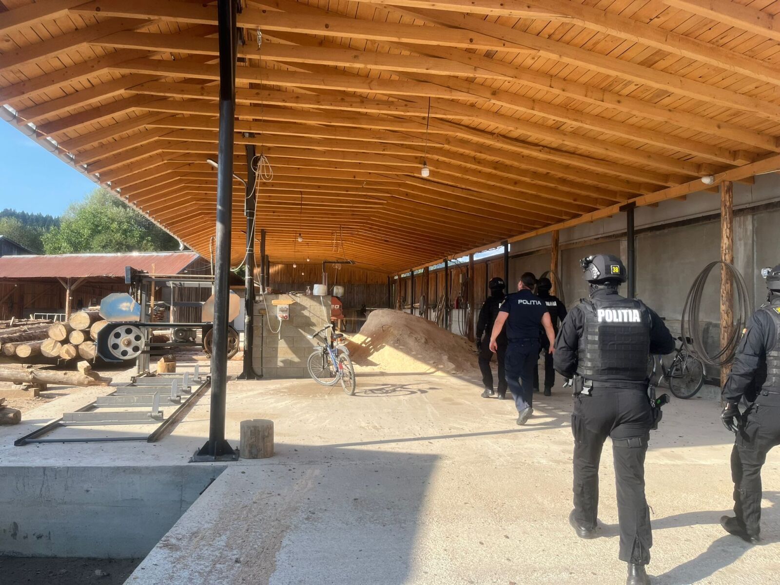 Percheziţii ale poliţiştilor din Neamţ într-un dosar privind transportul ilegal de lemne